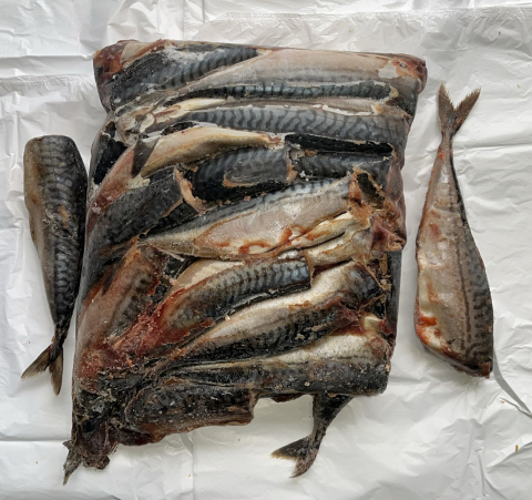 Скумбрия (собакам)