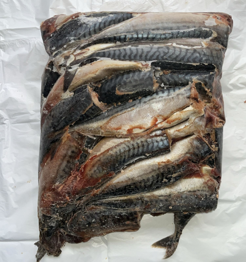 Скумбрия (собакам)