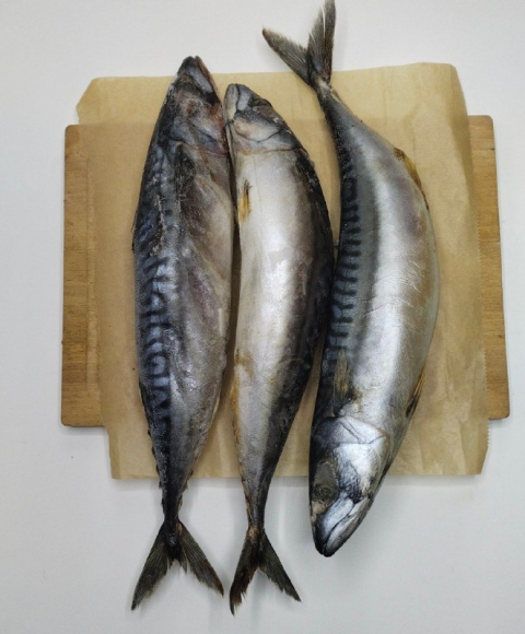 Скумбрия (собакам)