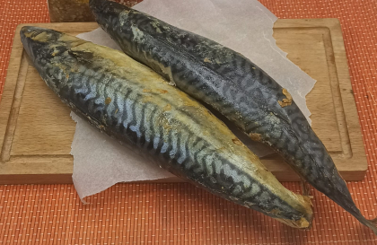 Скумбрия