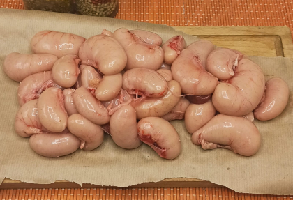 Семенники индюка