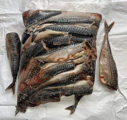 Скумбрия (собакам)